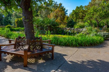 İtalya, Ischia 'daki Giardini la Mortella bahçelerinin manzarası..