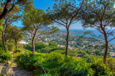 İtalya, Ischia 'daki Giardini la Mortella bahçelerinin manzarası..