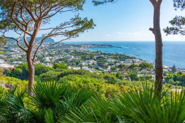 İtalya, Ischia 'daki Giardini la Mortella bahçelerinin manzarası..