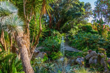 İtalya, Ischia 'daki Giardini la Mortella bahçelerindeki çeşme..