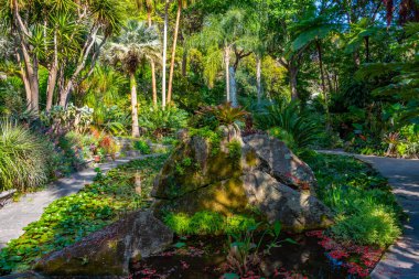 İtalya, Ischia 'daki Giardini la Mortella bahçelerindeki çeşme..
