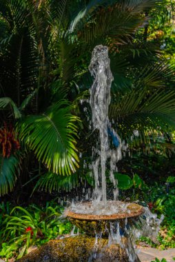 İtalya, Ischia 'daki Giardini la Mortella bahçelerindeki çeşme..