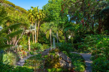 İtalya, Ischia 'daki Giardini la Mortella bahçelerindeki çeşme..