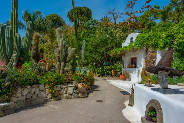 Sukulenty Kaktusy Zahradách Giardini Ravino Forli Ischia Itálie — Stock fotografie