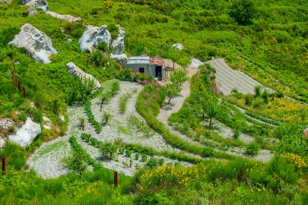 stock image Agricultural landscape of Ischia, Italy.