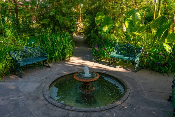 Fountain Giardini Mortella Gardens Ischia Olaszország — Stock Fotó