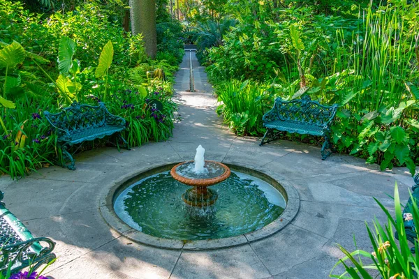 Brunnen Garten Der Giardini Mortella Auf Ischia Italien — Stockfoto