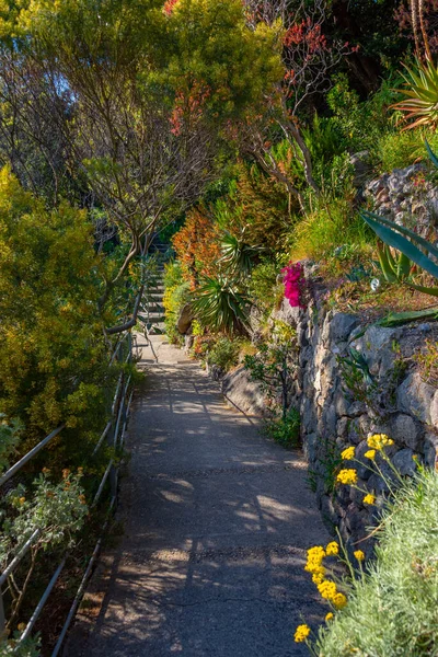 Vista Los Jardines Giardini Mortella Ischia Italia — Foto de Stock