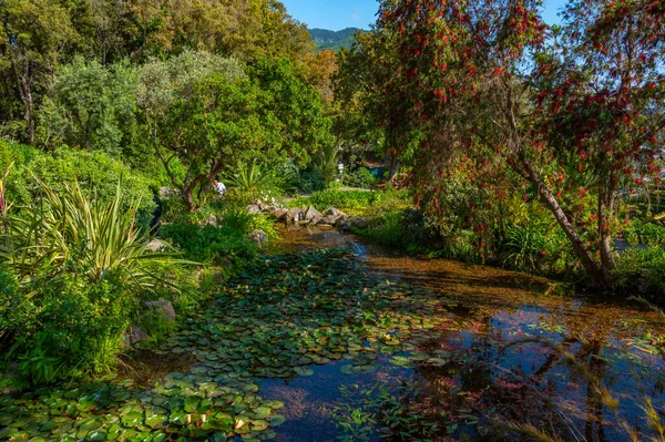 Utsikt Över Giardini Mortella Trädgårdar Ischia Italien — Stockfoto