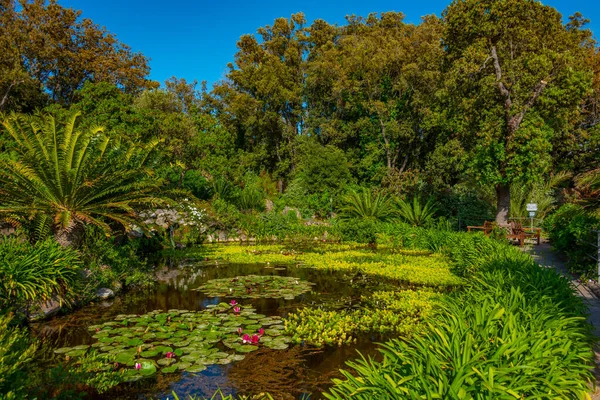 Blick Auf Die Gärten Der Giardini Mortella Auf Ischia Italien — Stockfoto