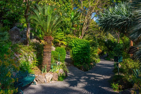 Talya Ischia Daki Giardini Mortella Bahçelerinin Manzarası — Stok fotoğraf