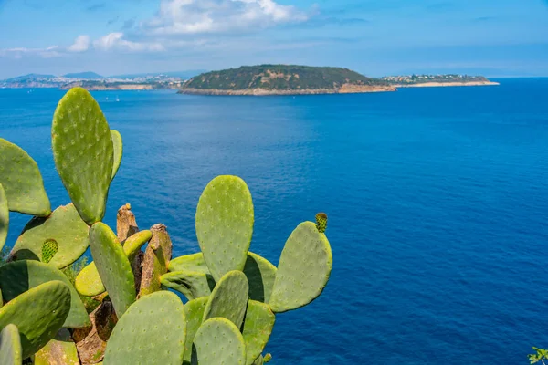 Προβολή Του Νησιού Procida Από Την Ischia Ιταλία — Φωτογραφία Αρχείου