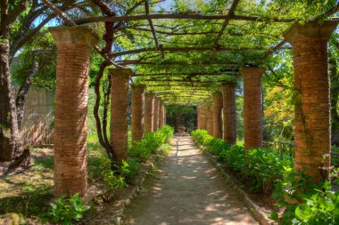 İtalyan kasabası Ravello 'daki Villa Cimbrone' daki bahçeler..