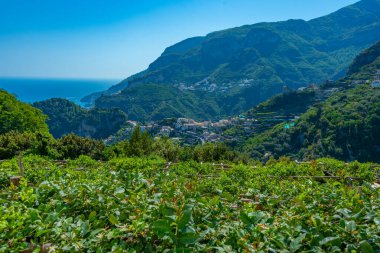 Valle delle Ferriere Vadisi İtalya 'daki Villa Cimbrone' dan izlendi.