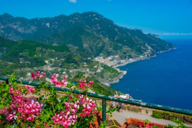 İtalya 'daki Maiori şehrinin çiçeklerin arkasındaki hava manzarası.