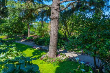 İtalya, Anacapri 'deki Villa San Michele' deki bahçeler.