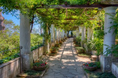 İtalya, Anacapri 'deki Villa San Michele Terası..