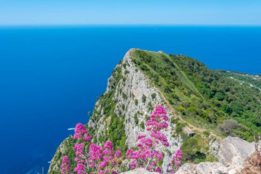 İtalyan adası Capri 'de Monte Solaro' nun altındaki kayalıklar.