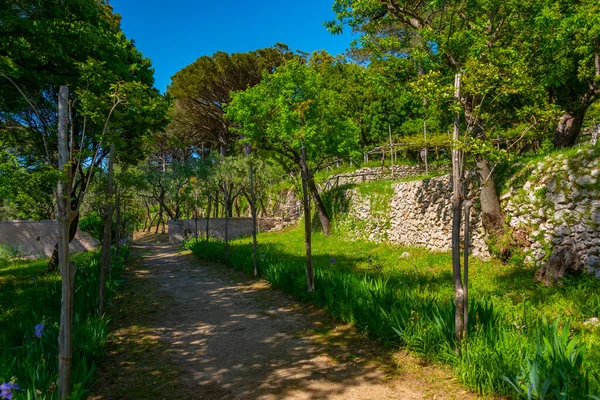 Jardins Villa Cimbrone Cidade Italiana Ravello — Fotografia de Stock