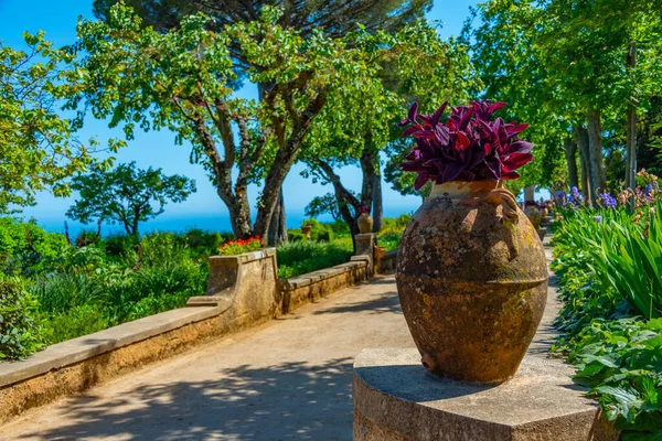 stock image Gardens at Villa Cimbrone in the Italian town Ravello.