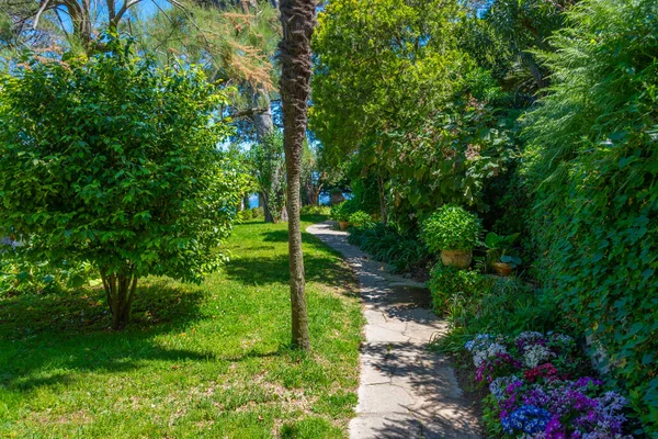Jardins Villa San Michele Anacapri Itália — Fotografia de Stock