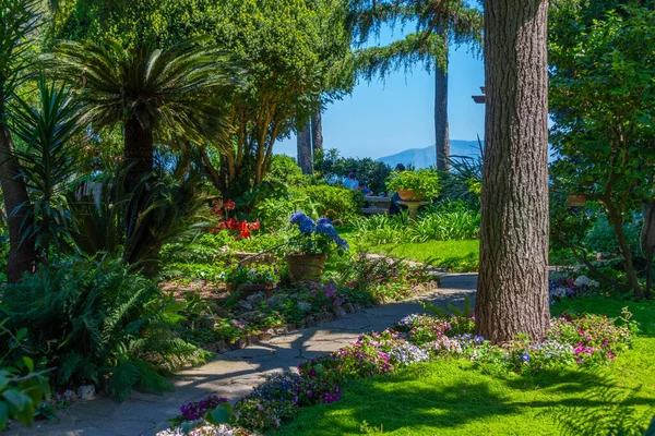 Trädgårdar Vid Villa San Michele Anacapri Italien — Stockfoto