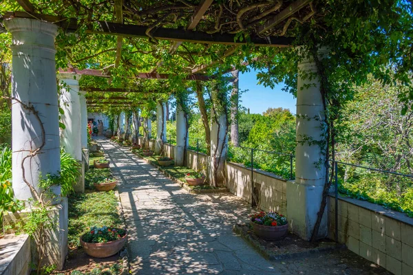Terrace Villa San Michele Anacapri Italy — Stock Photo, Image