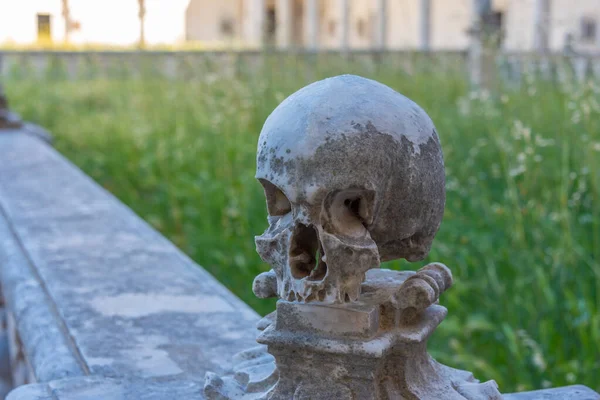 Napoli, İtalya 'daki Certosa ve San Martino Müzesindeki yapay kafatasları..