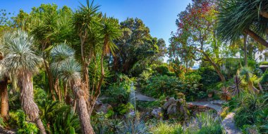 İtalya, Ischia 'daki Giardini la Mortella bahçelerinin manzarası..