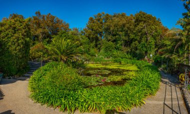 İtalya, Ischia 'daki Giardini la Mortella bahçelerinin manzarası..