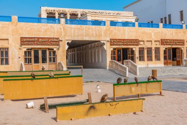Katar 'ın Doha kentindeki Souq Waqif' te şahin pazarı.