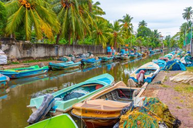 Negombo, Sri Lanka 'daki Hollanda kanalına demirleyen renkli tekneler.