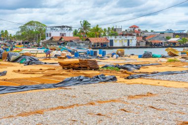 Negombo, Sri Lanka 'da açık havada balık ve diğer deniz ürünleri kurutuluyor..