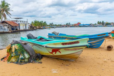 Sri Lanka 'daki Negombo gölünün kıyısında demirleyen balıkçı tekneleri..