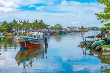 Sri Lanka 'daki Negombo gölünün kıyısında demirleyen balıkçı tekneleri..