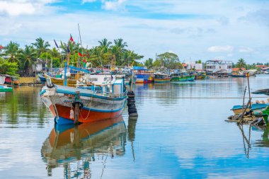 Sri Lanka 'daki Negombo gölünün kıyısında demirleyen balıkçı tekneleri..