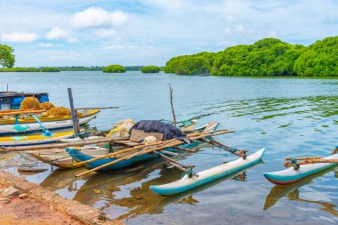 Sri Lanka 'daki Negombo gölünün kıyısına demirleyen geleneksel katamaranlar.