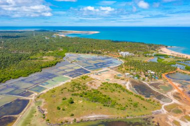 Sri Lanka 'daki Kalpitiya' da rüzgar enerjili türbinlerin gözden kaçırdığı tarım alanlarının havadan görünüşü.