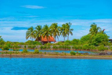 Sri Lanka 'daki Kalpitiya gölünün manzarası.