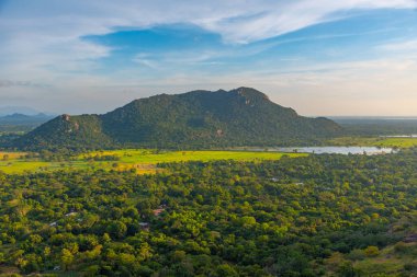 Sri Lanka 'daki Mihintale Dağı yakınlarındaki yeşil manzaranın havadan görünüşü.