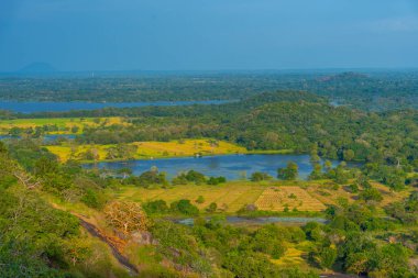Sri Lanka 'daki Mihintale Dağı yakınlarındaki yeşil manzaranın havadan görünüşü.