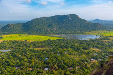 Sri Lanka 'daki Mihintale Dağı yakınlarındaki yeşil manzaranın havadan görünüşü.