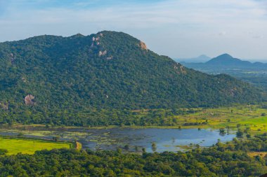 Sri Lanka 'daki Mihintale Dağı yakınlarındaki yeşil manzaranın havadan görünüşü.