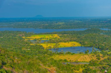 Sri Lanka 'daki Mihintale Dağı yakınlarındaki yeşil manzaranın havadan görünüşü.