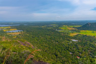 Sri Lanka 'daki Mihintale Dağı yakınlarındaki yeşil manzaranın havadan görünüşü.