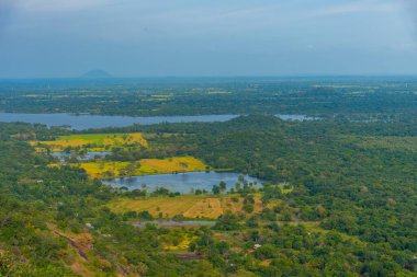 Sri Lanka 'daki Mihintale Dağı yakınlarındaki yeşil manzaranın havadan görünüşü.