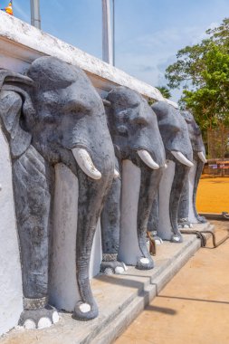 Anuradhapura, Sri Lanka 'da yapılan Ruwanweli Maha Seya stupa' daki fil heykelleri..