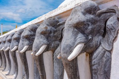 Anuradhapura, Sri Lanka 'da yapılan Ruwanweli Maha Seya stupa' daki fil heykelleri..