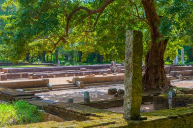 Anuradhapura, Sri Lanka 'da Ratnaprasada harabeleri.