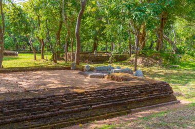 Anuradhapura, Sri Lanka 'da Ratnaprasada harabeleri.